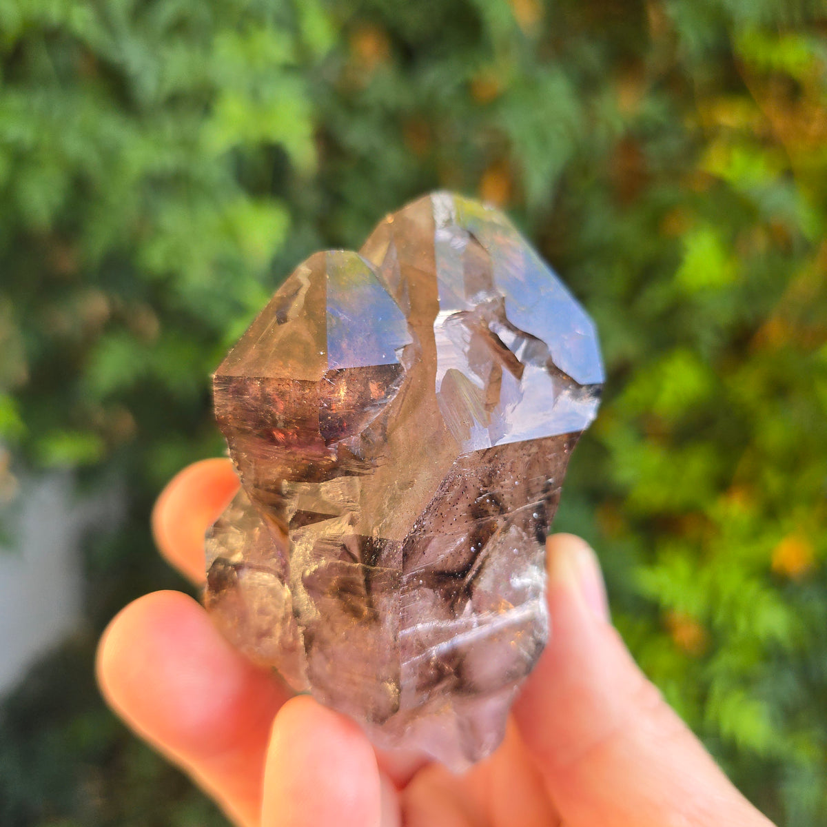Shangaane Tree Shangaan Amethyst Zimbabwe – Joshua Tree Vibes