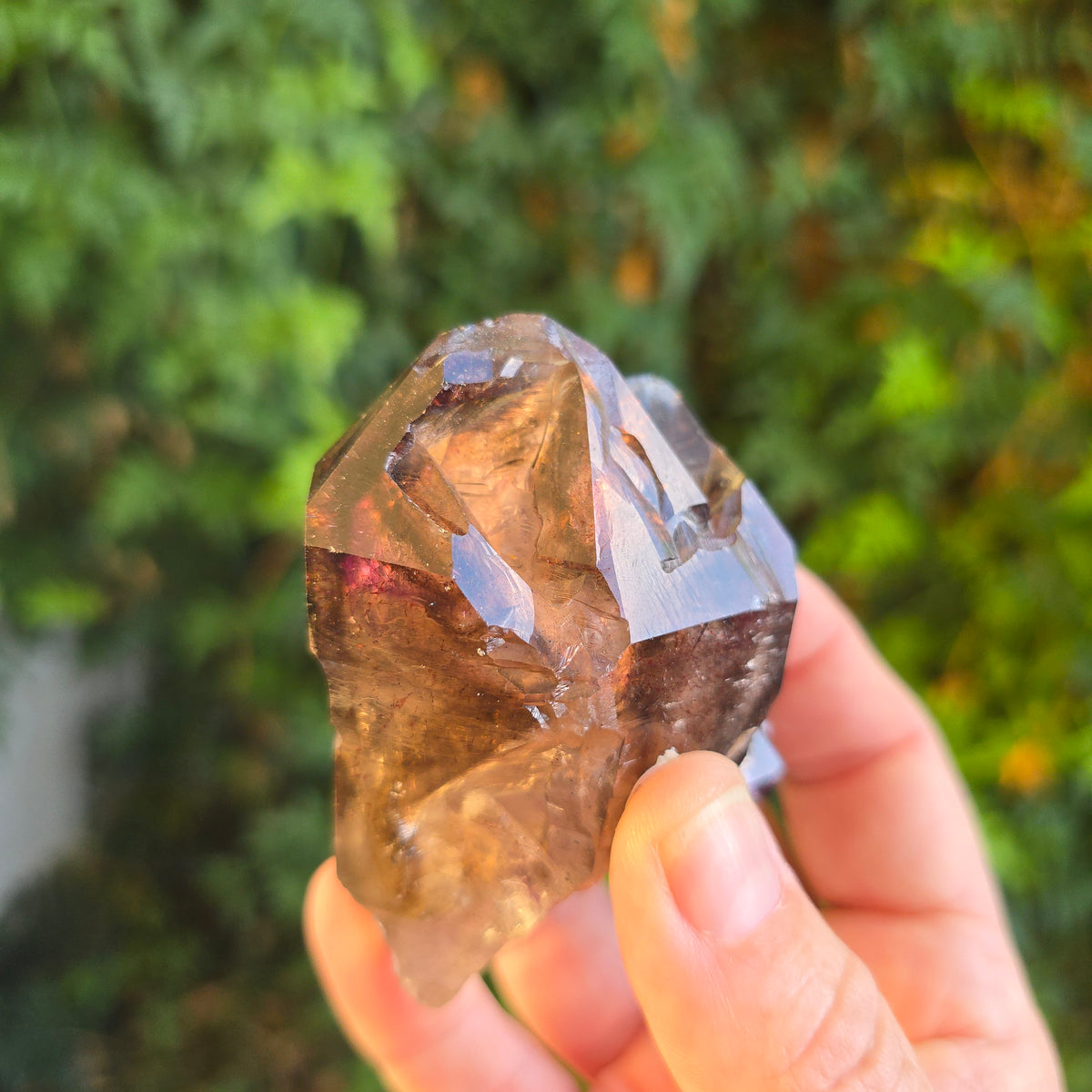 Shangaane Tree Shangaan Amethyst Zimbabwe – Joshua Tree Vibes