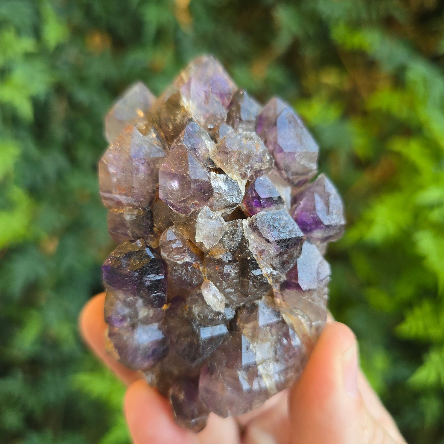 Shangaan Amethyst