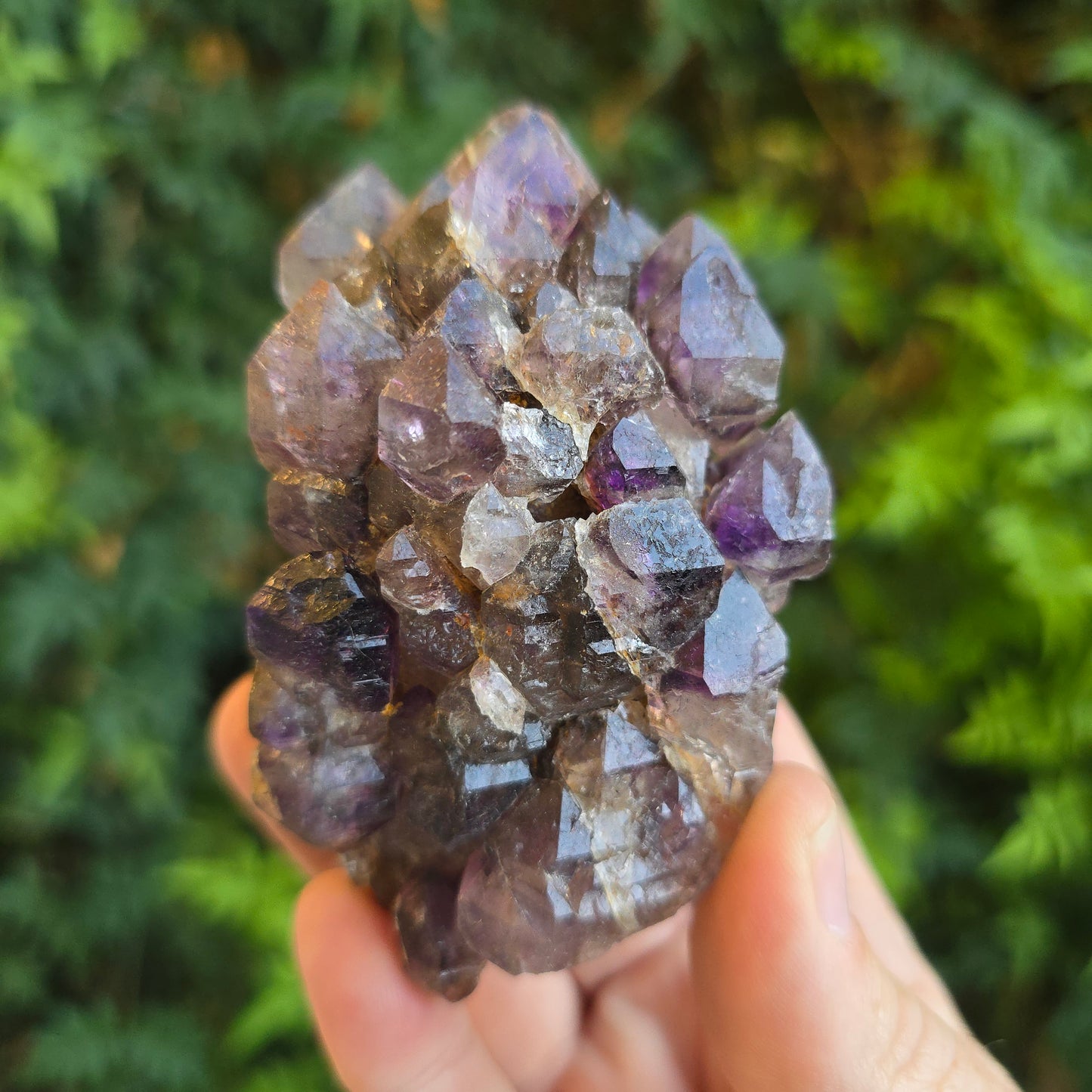 Shangaan Amethyst