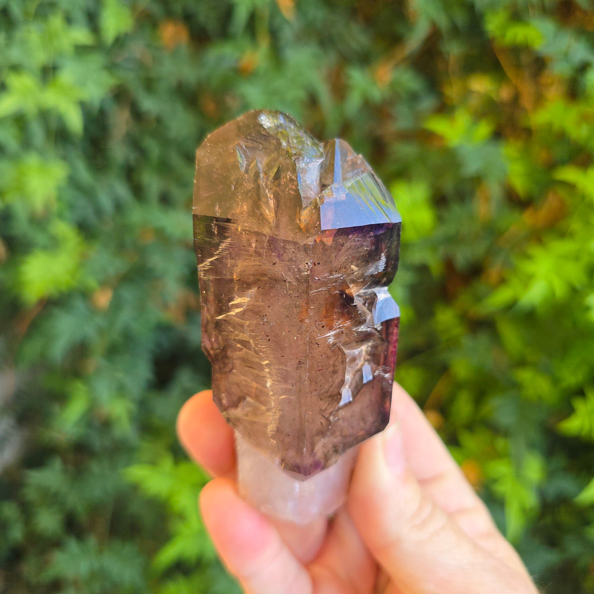 Shangaan Amethyst Zimbabwe