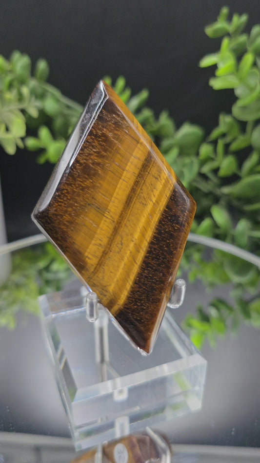 Tigers eye Diamond
