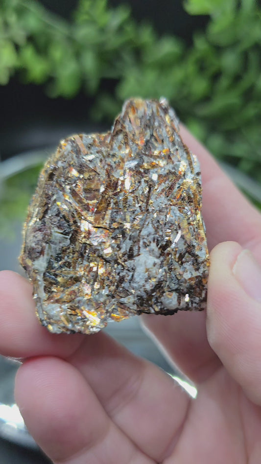 Astrophyllite Russia
