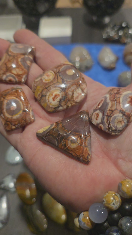 Birds eye rhyolite cabochon