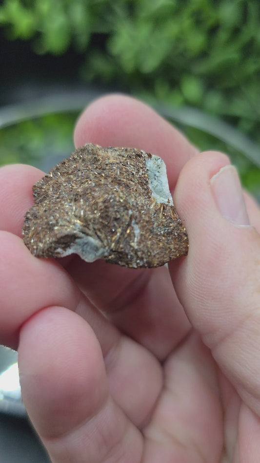 Astrophyllite Russia