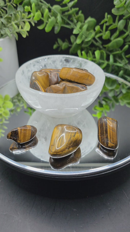 Tigers eye tumble