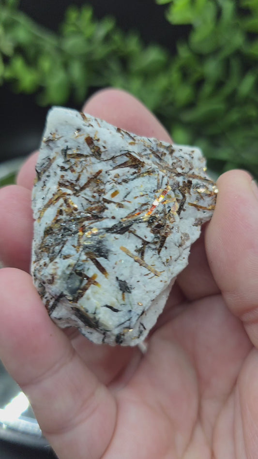 Astrophyllite Russia
