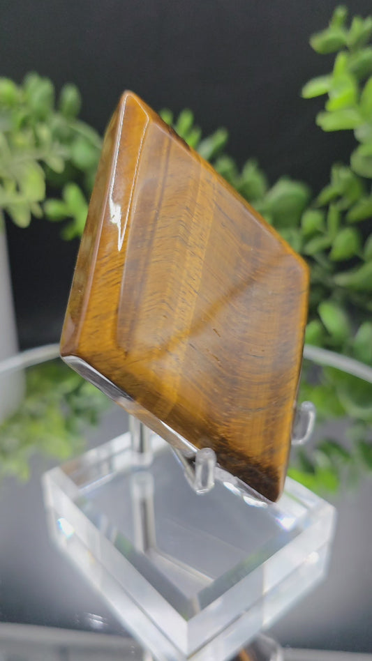 Tigers eye Diamond