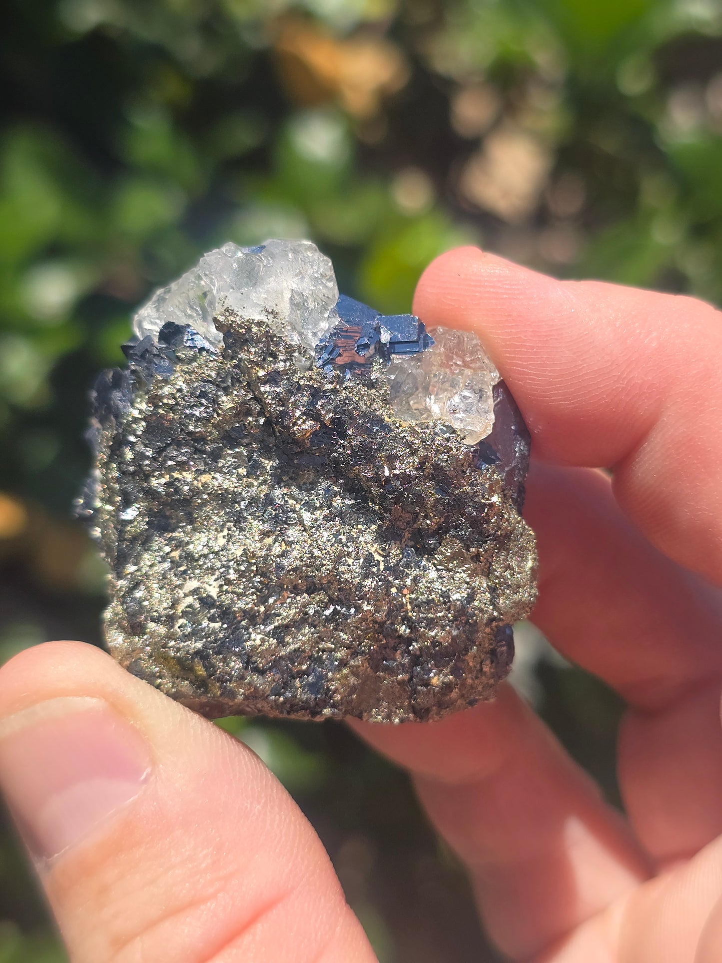 Galena, Fluorite Pyrite Naica Mine Mexico