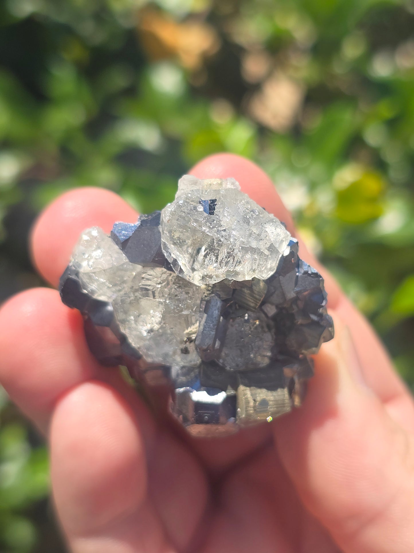 Galena, Fluorite Pyrite Naica Mine Mexico