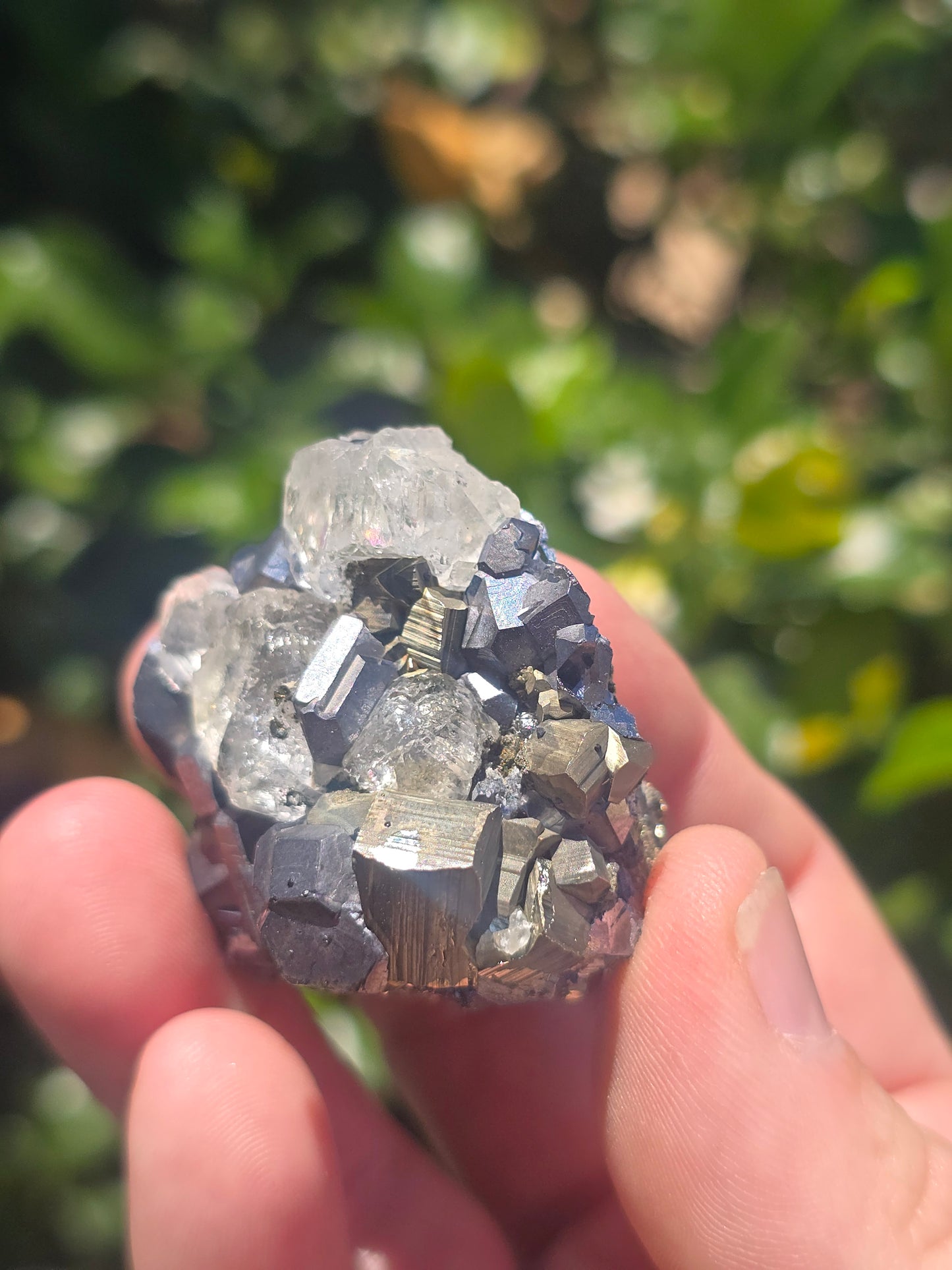 Galena, Fluorite Pyrite Naica Mine Mexico