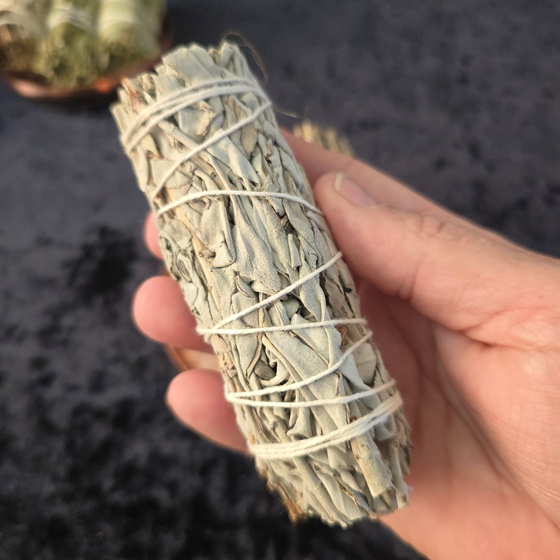 sage bundle